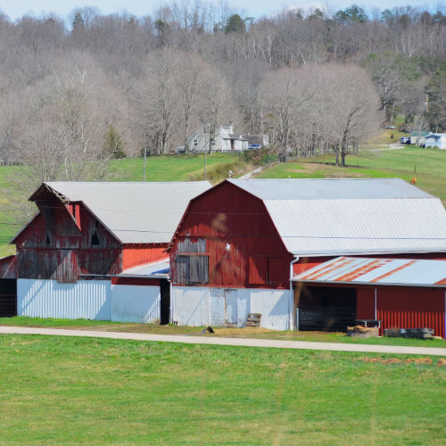 Air circulation in livestock buildings