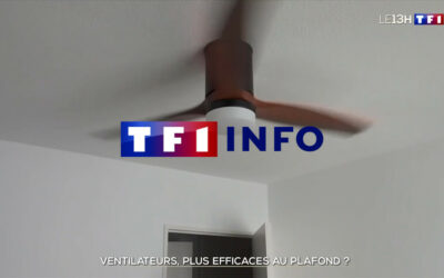 Ventilateurs : plus efficaces au plafond ? [vidéo] – TF1