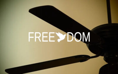 Ceiling fans: common breakdowns, costly repairs, and inconsistent prices – Freedom