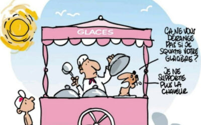 En france et dans la région, on n’en a pas fini avec la canicule