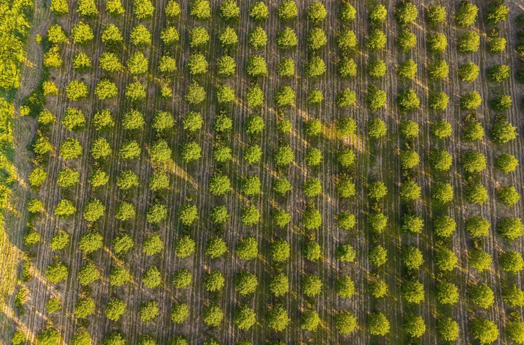 Calepinage des brasseurs d’air : cultivons nos bonnes pratiques