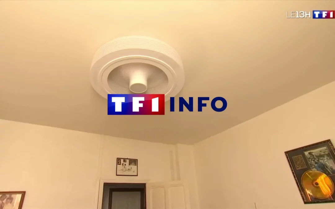 « Maintenant, on revit » : le brasseur d'air pendant la canicule